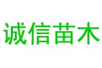 m6米乐·(中国)官方网站|app下载_平台官网登录入口